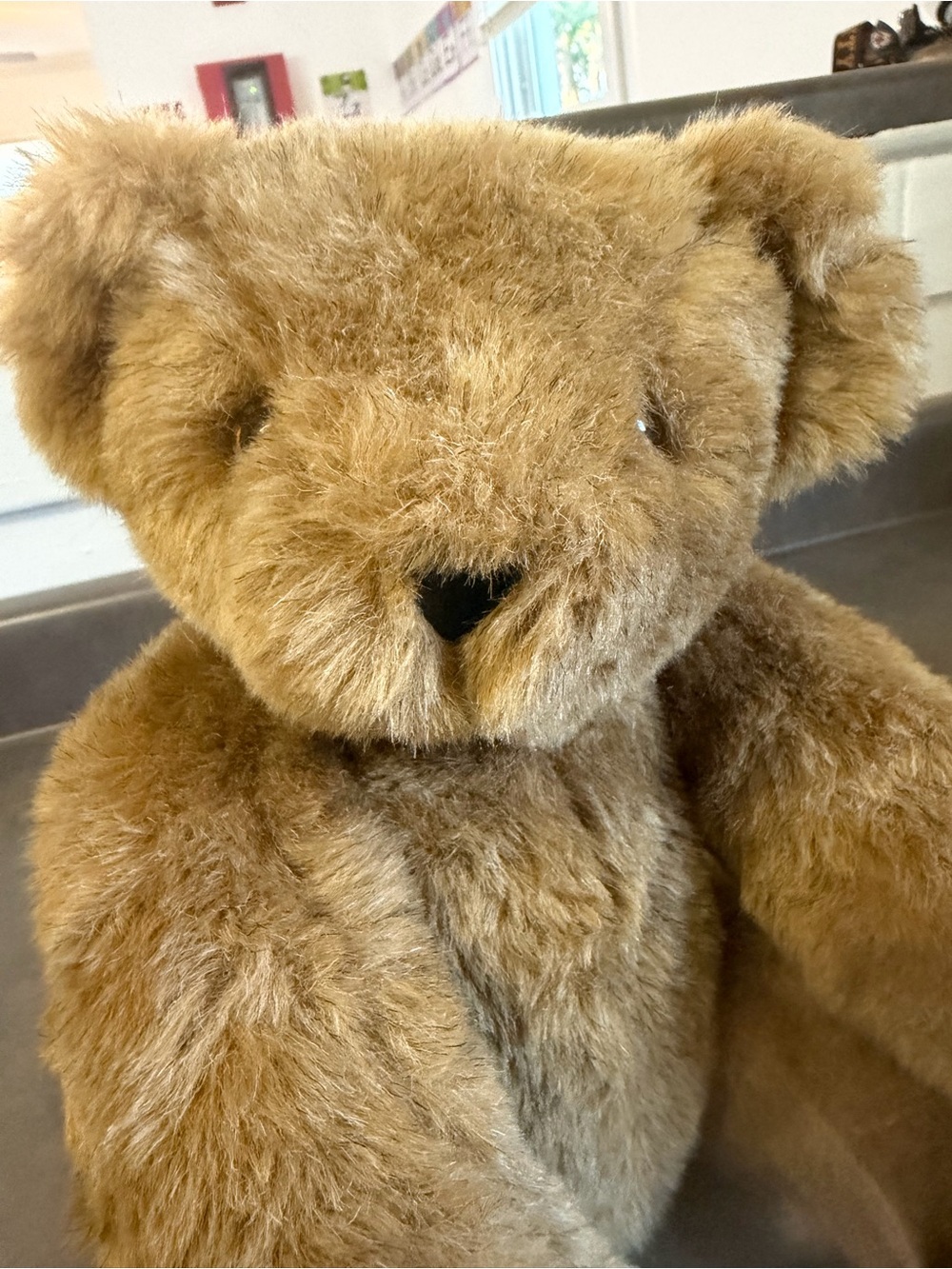 16 inch Vermont Teddy Bear Company